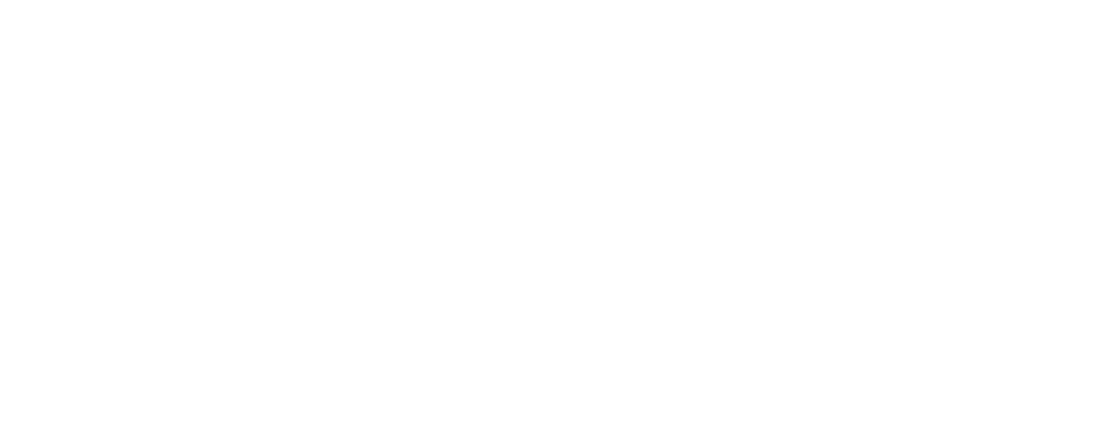 Bferry Logo